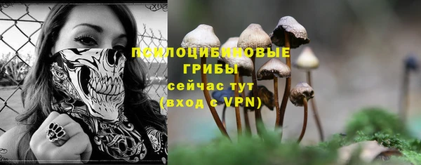 каннабис Верея