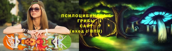 эйфоретик Володарск